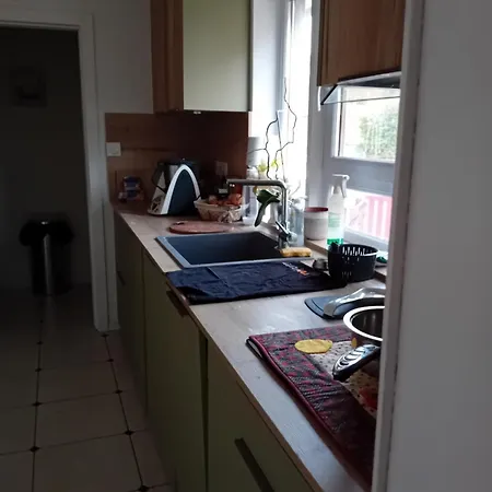 Maison Plein Pied Chien Accepte Holiday home Blaesheim